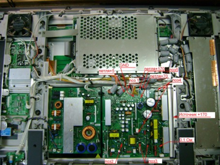 p1_842.jpg
