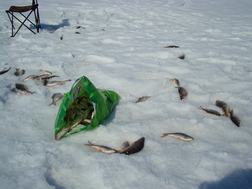 � ����.jpg