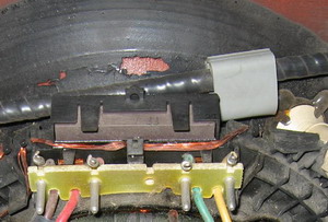 ��� Thomson.jpg