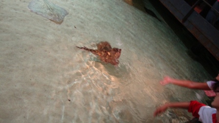 � ���� ����� ��������� !